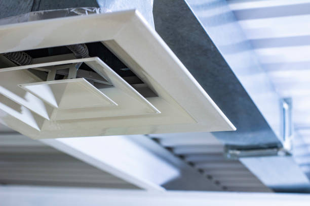 Best Air Duct Sanitizing Services  in Cambridge City, IN